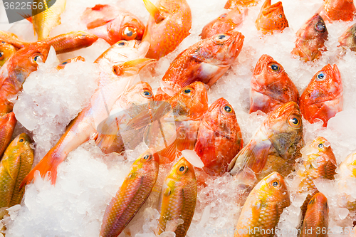 Image of Fresh fish in wet market