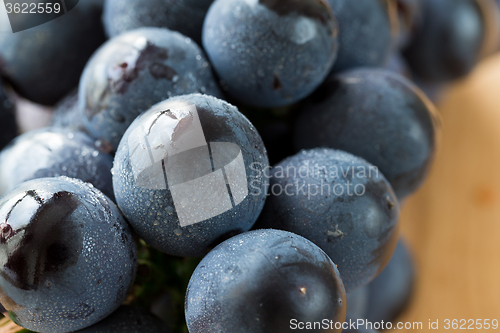 Image of Blue grapes