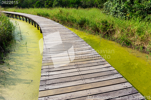 Image of Wooden bridge in forest