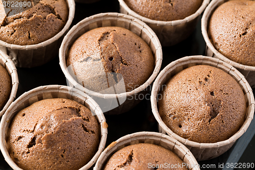 Image of Chocolate muffins 