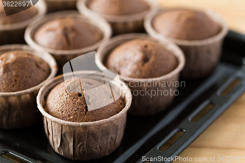 Image of Chocolate Chip Muffin