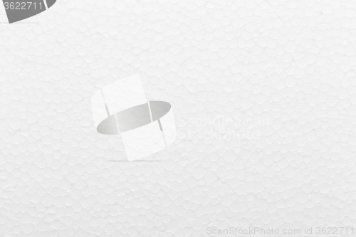 Image of White foam board texture background