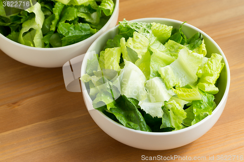 Image of Shredded lettuce