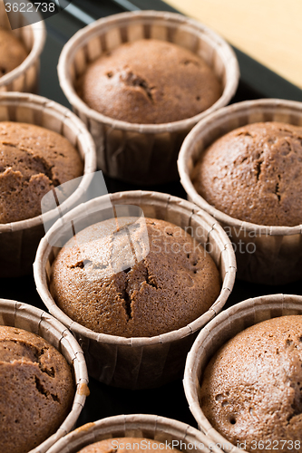 Image of Chocolate cupcake