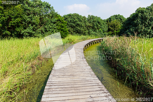 Image of Wooden pathway