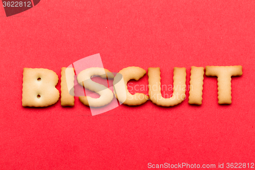 Image of Word Biscuit over the red background