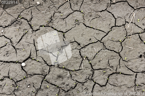 Image of Soil erosion