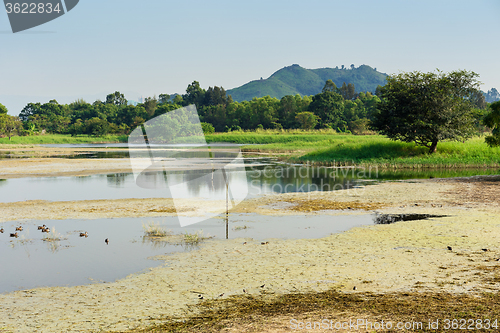 Image of Fish pond 