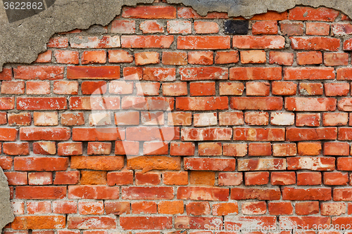 Image of Brick wall texture