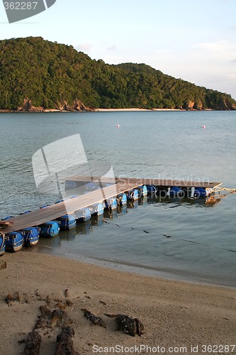 Image of Tropical docks