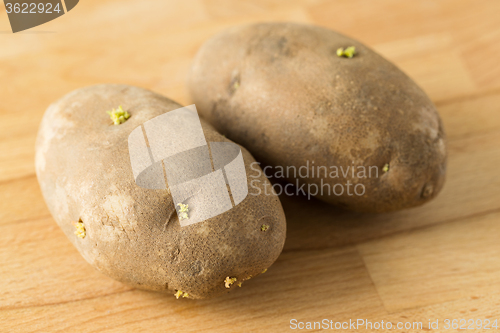 Image of Potato sprouts on table