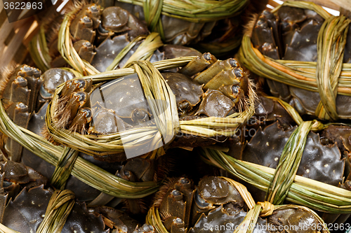 Image of Hairy Crab From China 