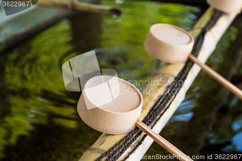 Image of Traditional bamboo water scoop