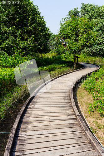 Image of Wooden pathway though forest