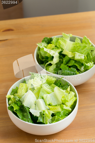 Image of Fresh lettuces 