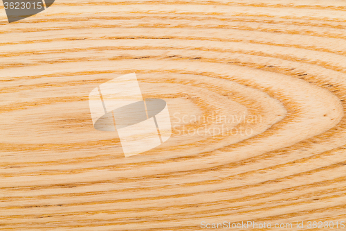 Image of Abstract background wooden floor