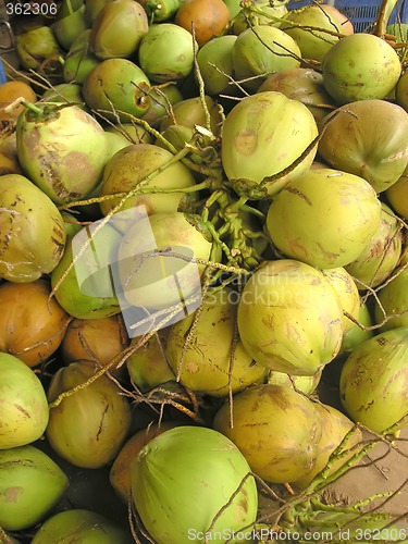 Image of Green coconuts