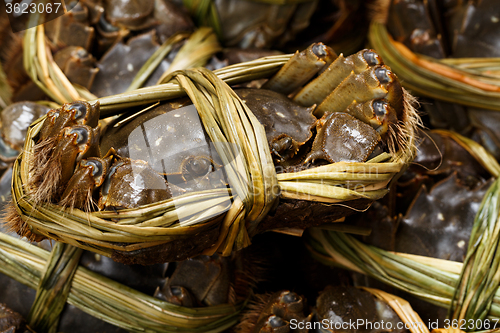 Image of Uncooked hairy crabs 