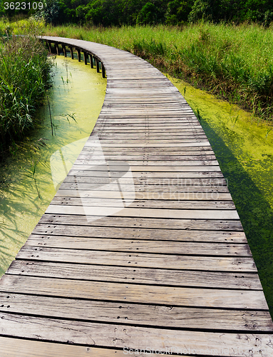 Image of Wooden footpath and lake