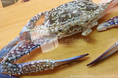 Image of Fresh crab