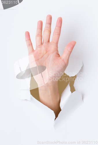 Image of Hand palm breaking through paper wall