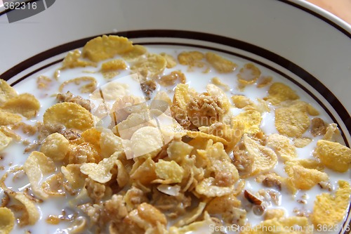 Image of Corn flakes in milk