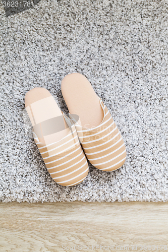 Image of Slipper on carpet