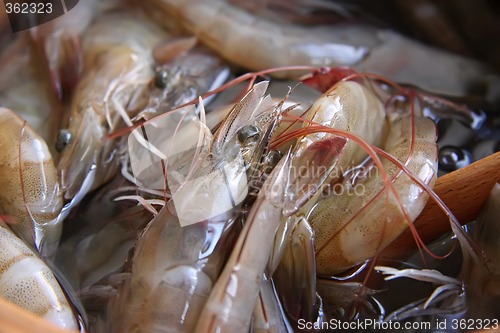 Image of Whole raw prawns