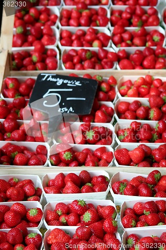 Image of Fresh strawberries