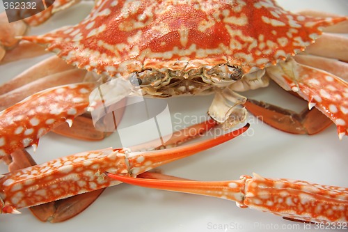 Image of Cooked crab