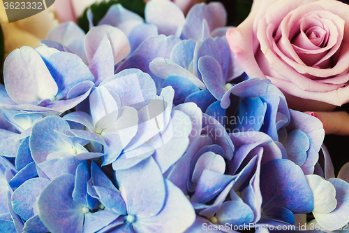 Image of Blue Hydrangea and purple rose