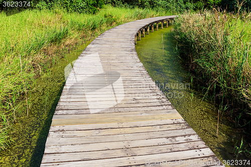 Image of Wooden path on jungle