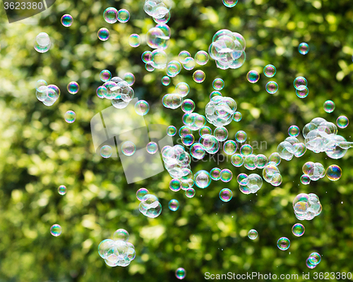 Image of The rainbow bubbles from the bubble blower