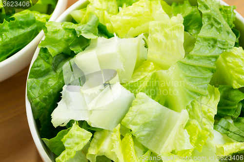 Image of Lettuce salad