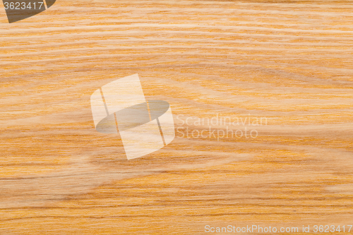 Image of Wood texture