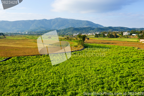 Image of Farmland