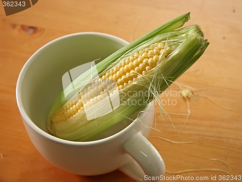 Image of Fresh ears of corn