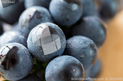 Image of Japanese Kyoho grapes