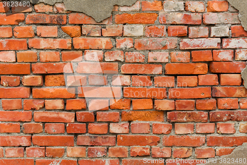 Image of Old brick wall texture