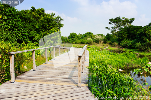Image of Wooden bridge in forest