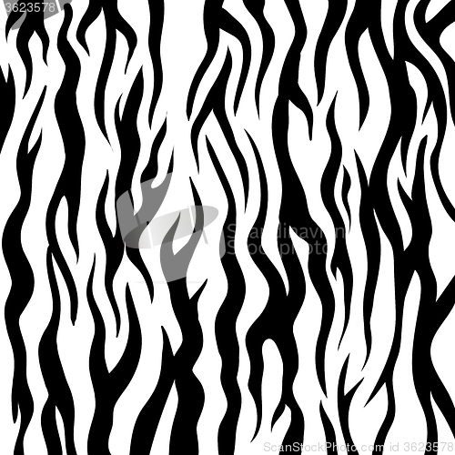 Image of Zebra Pattern. Black and White Animal Background