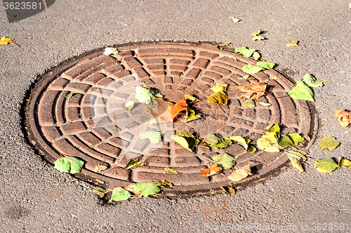 Image of Manhole under a colorful dry autumn leaves