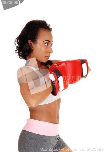 Image of African American woman with boxing gloves.