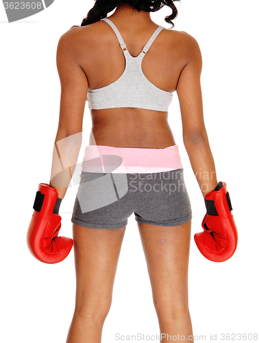 Image of Athletic woman wearing boxing gloves.