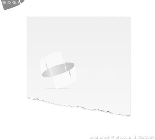 Image of torn paper