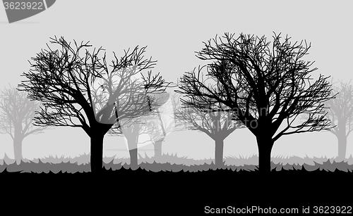 Image of forest in the dark mist, trees silhouettes