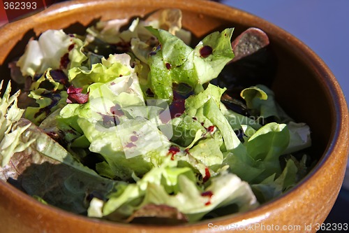 Image of Garden salad