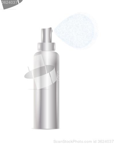 Image of silver spray bottle