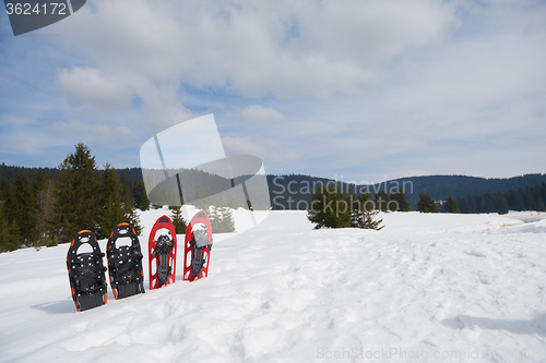 Image of winter snowshoes