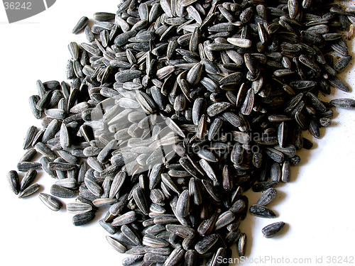 Image of Sunflower Seeds